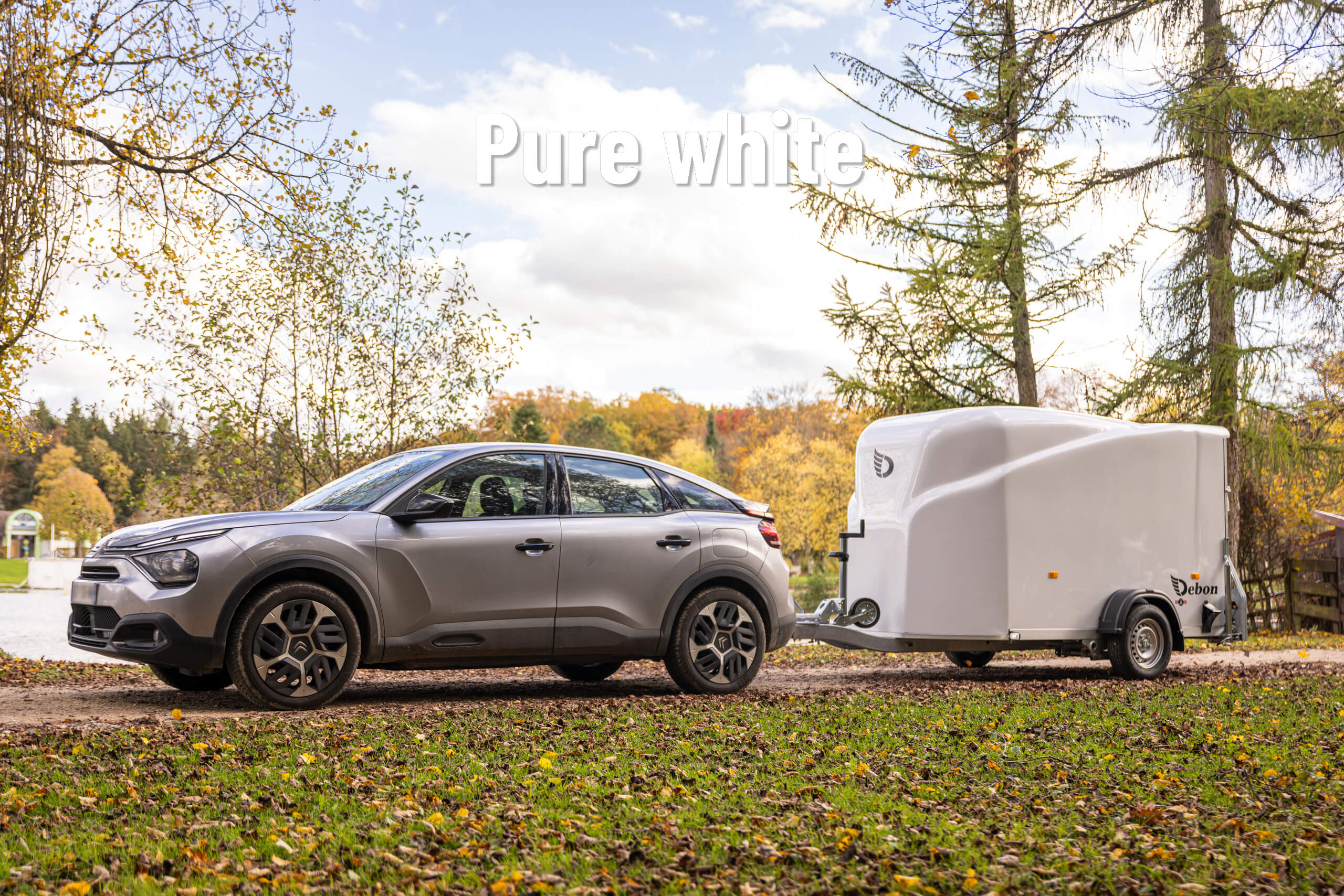 Debon cargo 1300 (300 x 152 x(K)165 cm) - Image 21